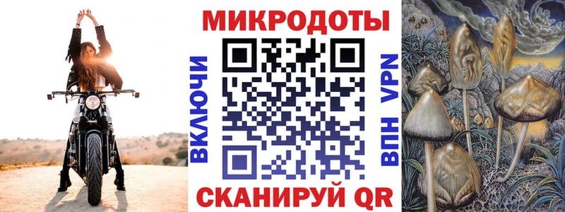 Псилоцибиновые грибы GOLDEN TEACHER  Петропавловск-Камчатский 