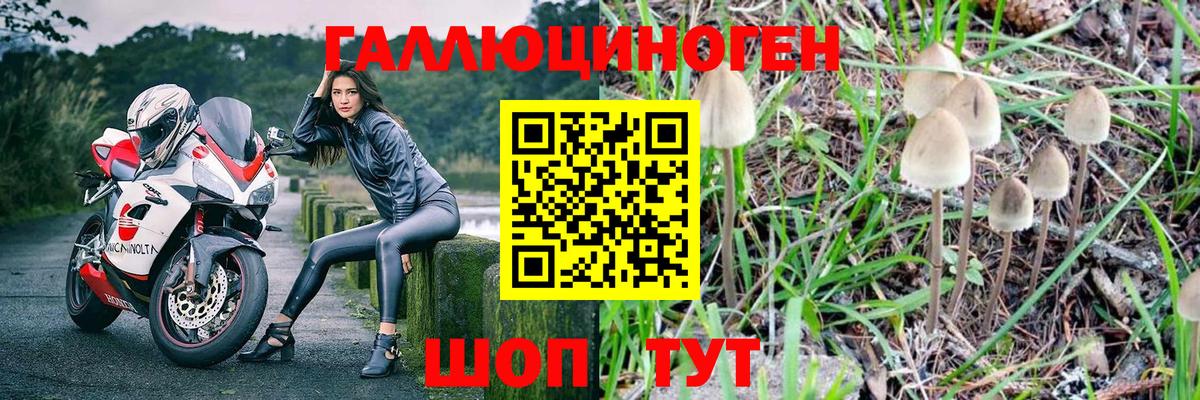 Галлюциногенные грибы MAGIC MUSHROOMS Петропавловск-Камчатский